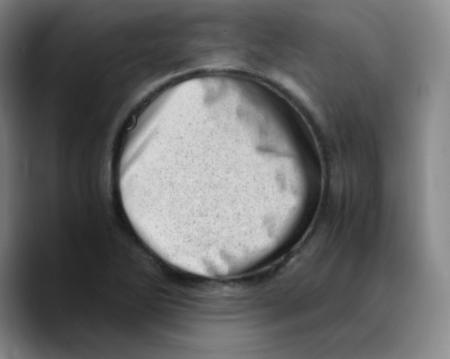 X0000089711270200707201753