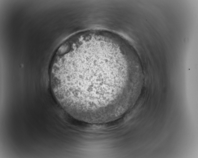 X0000089711271200707201753