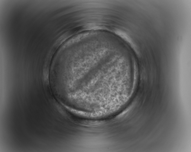 X0000089711273200707201753