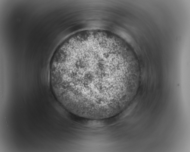 X0000089711275200707201753