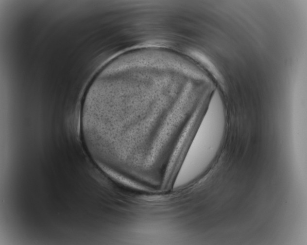 X0000089711276200707201753