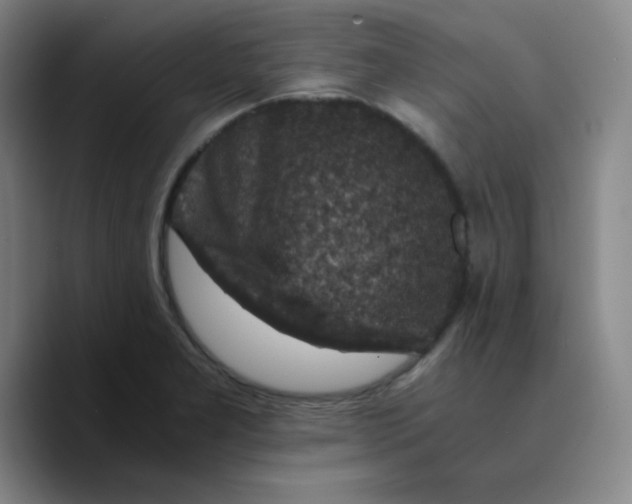 X0000089711277200707201753