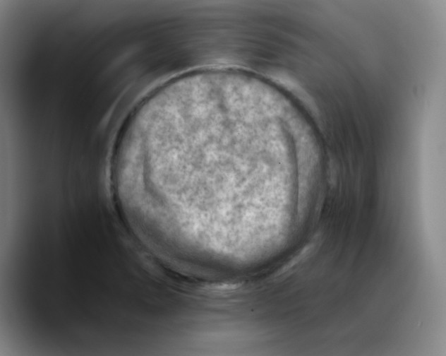 X0000089711278200707201753