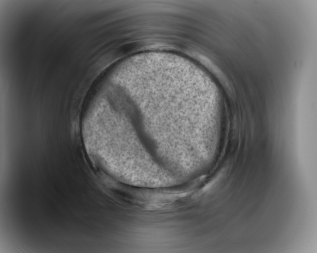 X0000089711281200707201753