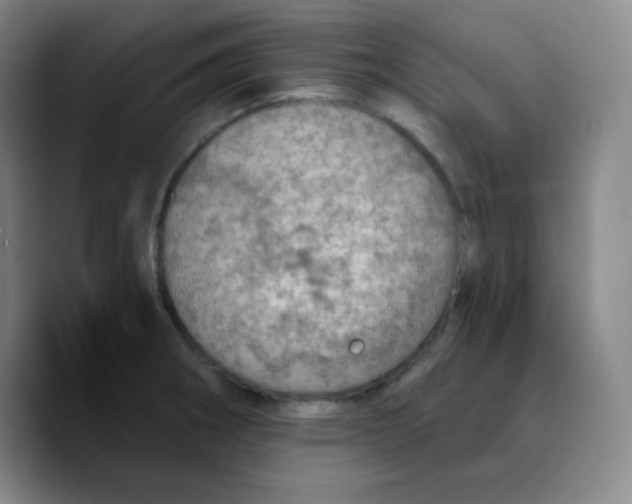 X0000089711282200707201753