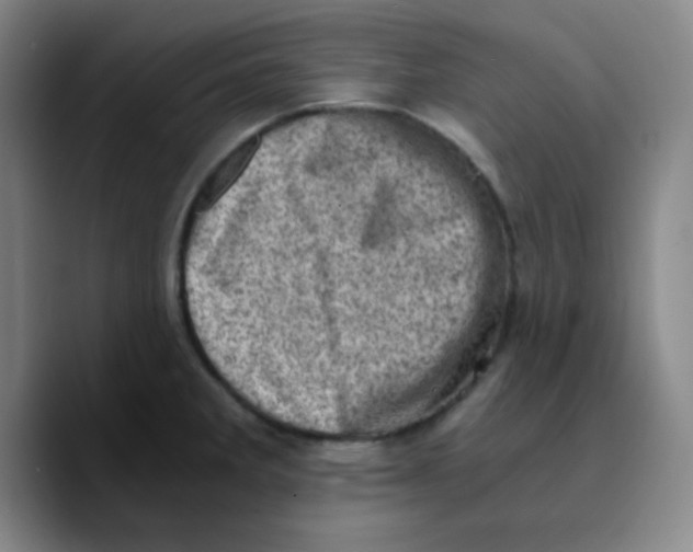 X0000089711285200707201753