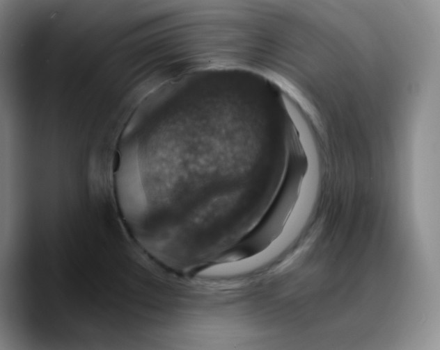 X0000089711289200707201753