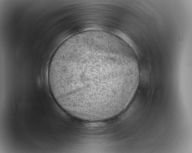 X0000089711290200707201753