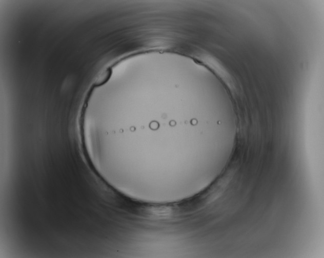 X0000089711291200707201753