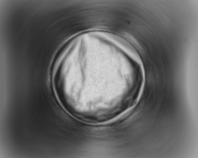 X0000089711292200707201753