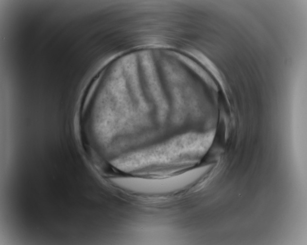 X0000089711293200707201753
