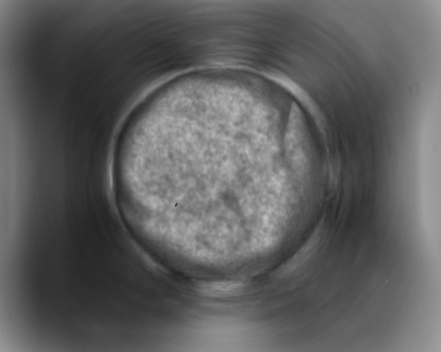 X0000089711294200707201753