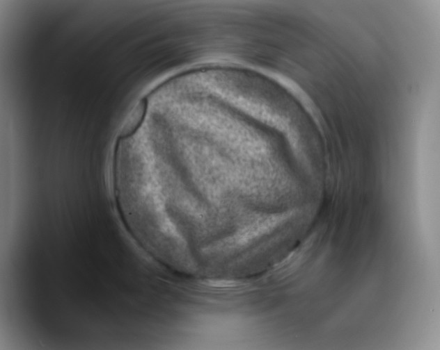 X0000089711295200707201753