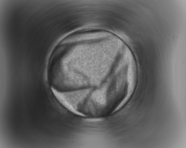 X0000089711296200707201753