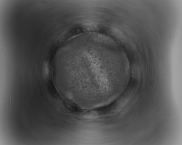 X0000089711298200707201752