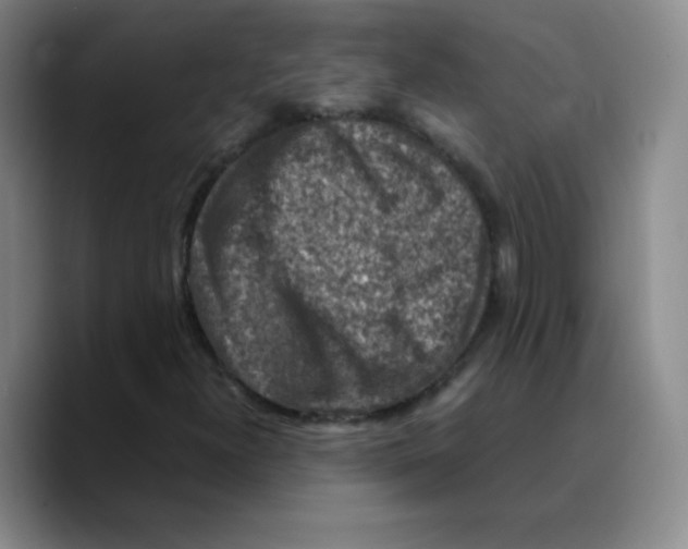 X0000089711300200707201752