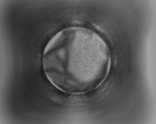 X0000089711301200707201752