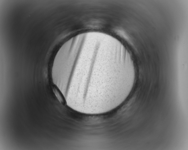 X0000089711307200707201752