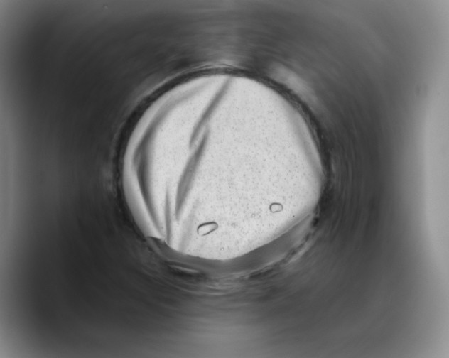 X0000089711308200707201752