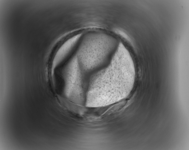 X0000089711310200707201752