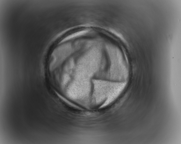 X0000089711311200707201752
