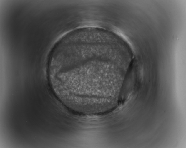 X0000089711312200707201752