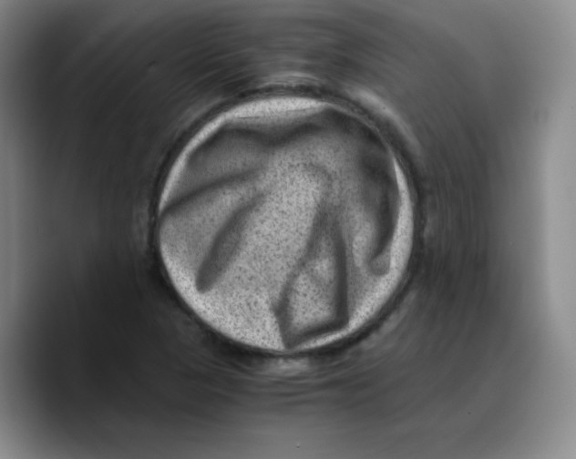 X0000089711313200707201752