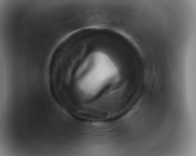 X0000089711319200707201752