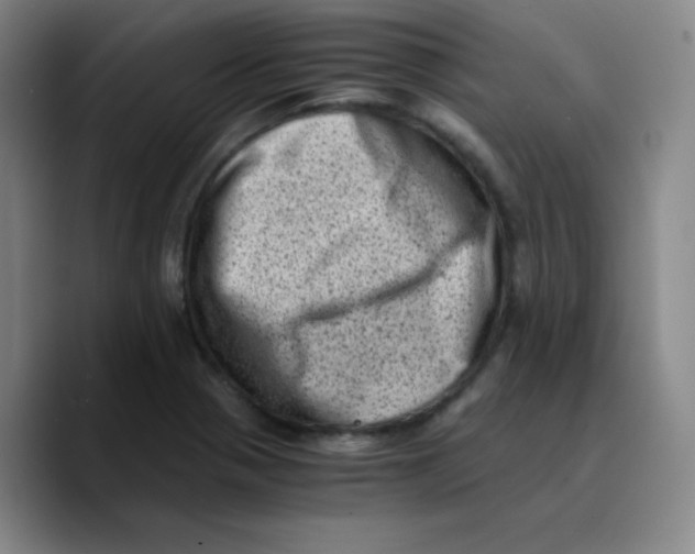 X0000089711321200707201752