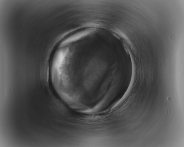 X0000089711323200707201753