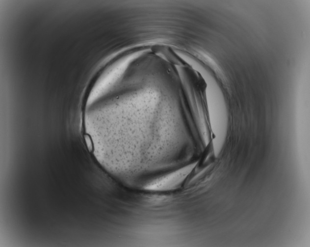 X0000089711324200707201753