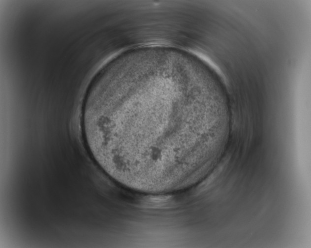 X0000089711325200707201753