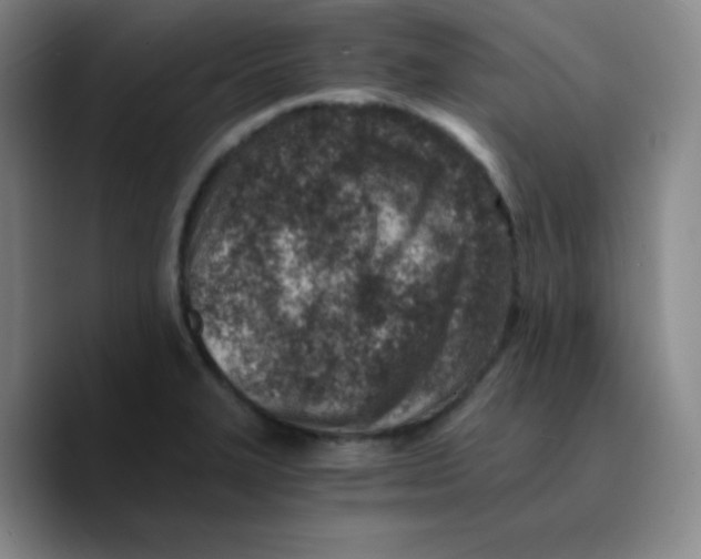 X0000089711327200707201753