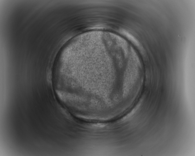 X0000089711329200707201753