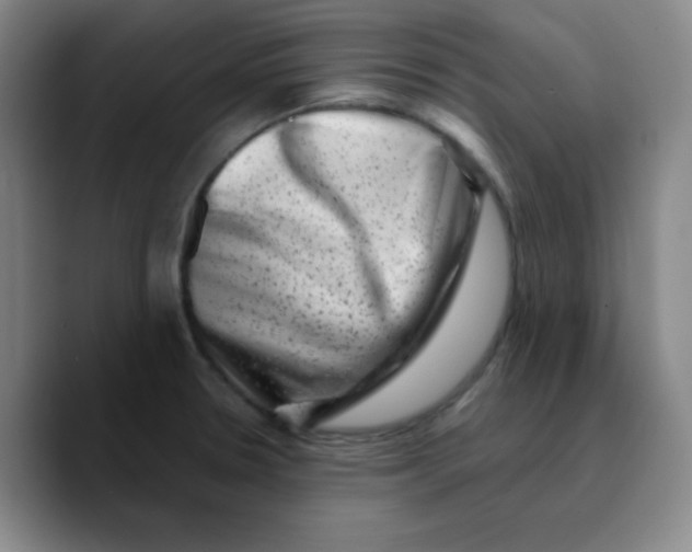 X0000089711330200707201753