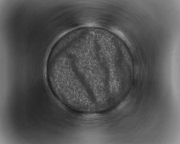 X0000089711331200707201753