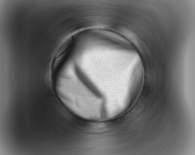 X0000089711332200707201753