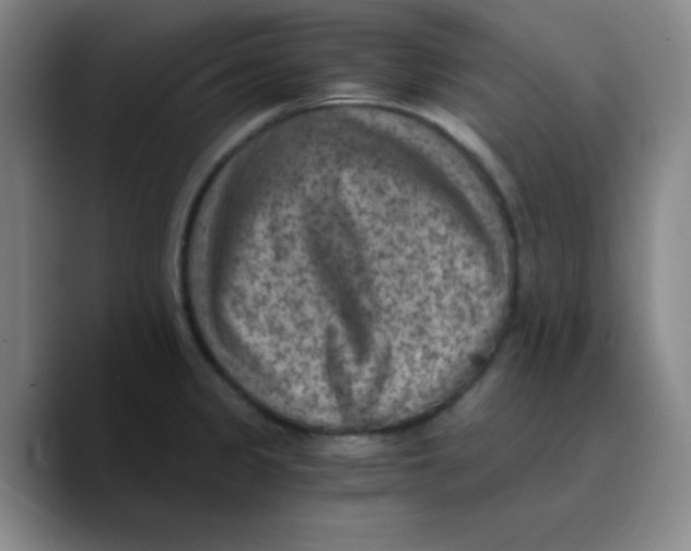 X0000089711333200707201753