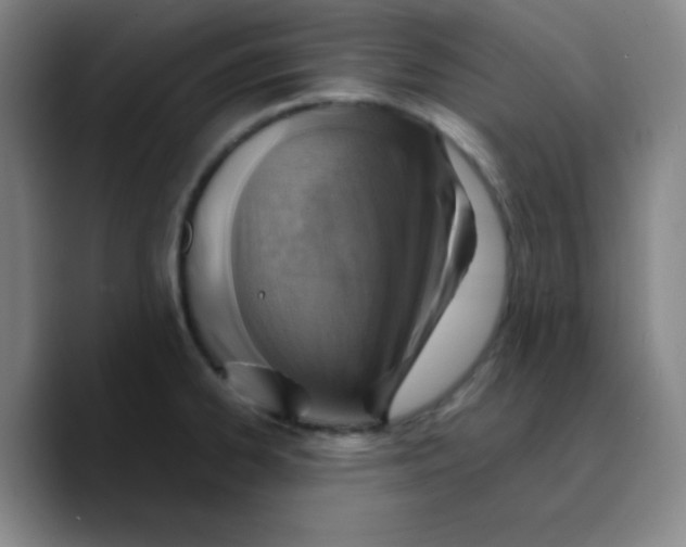 X0000089711334200707201753
