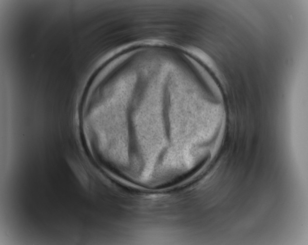 X0000089711335200707201753