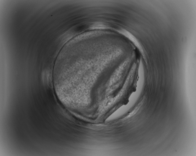 X0000089711337200707201753