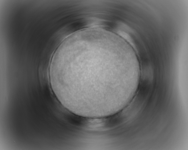 X0000089711338200707201753