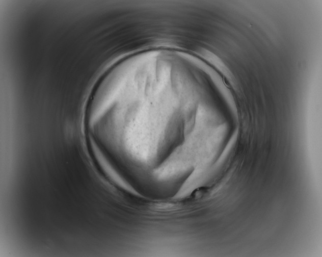 X0000089711339200707201753