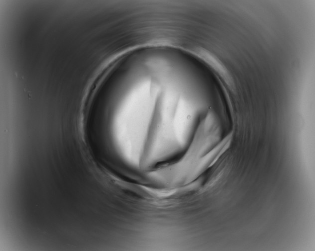 X0000089711340200707201753