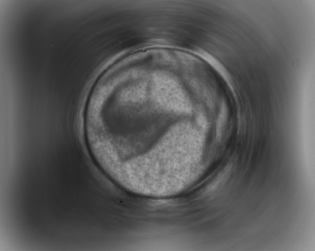 X0000089711341200707201753