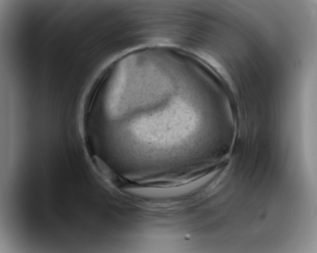 X0000089711342200707201753