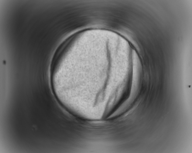 X0000089711343200707201753