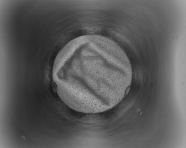 X0000089711346200707201752