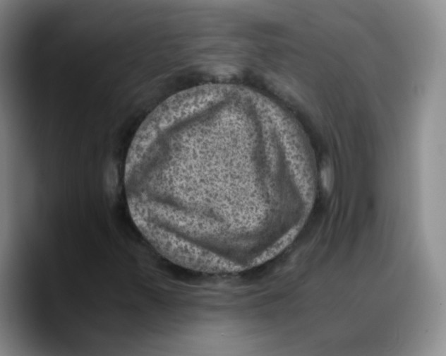 X0000089711347200707201752