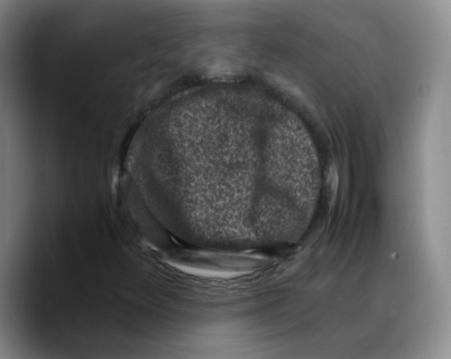 X0000089711348200707201752